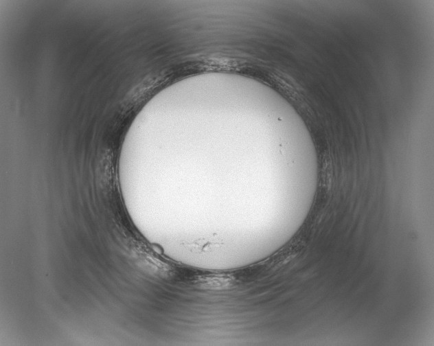 X0000078890318200612111812