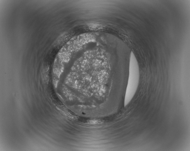 X0000078890319200612111812