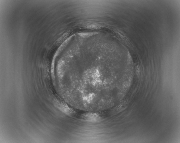 X0000078890322200612111812