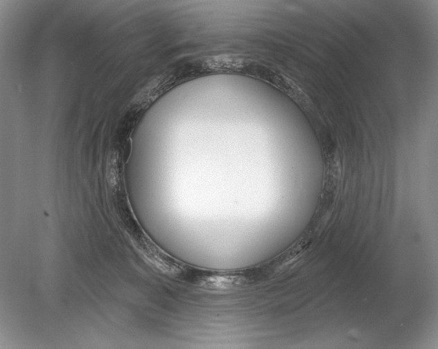 X0000078890323200612111812