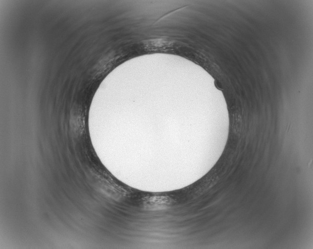 X0000078890324200612111812