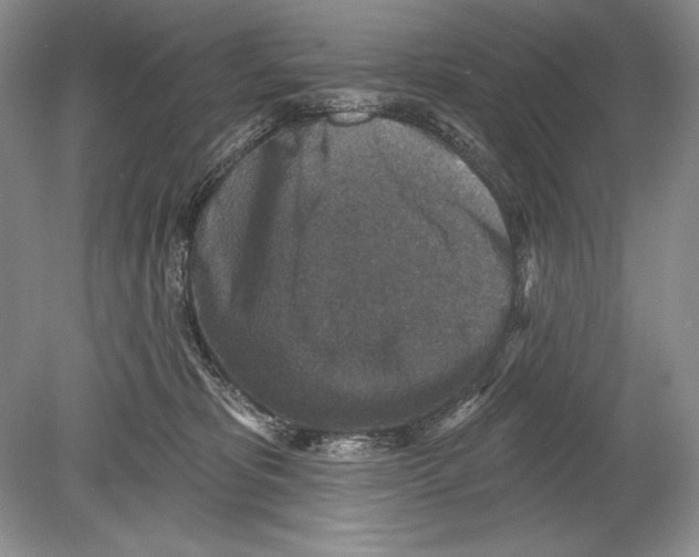 X0000078890325200612111812