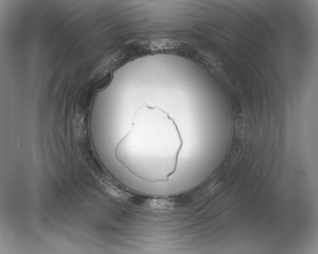 X0000078890327200612111812