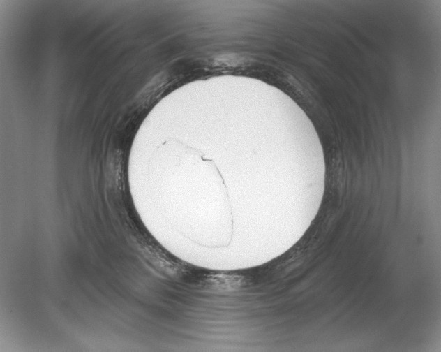 X0000078890328200612111812