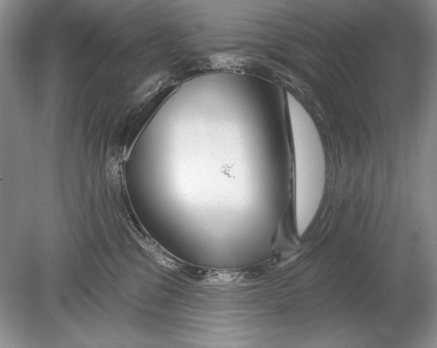 X0000078890329200612111812