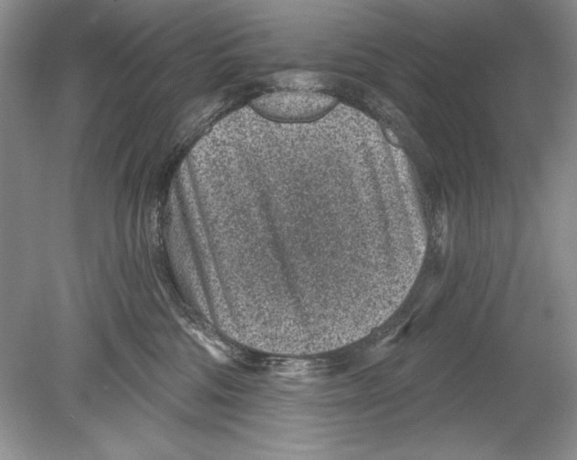 X0000078890330200612111812