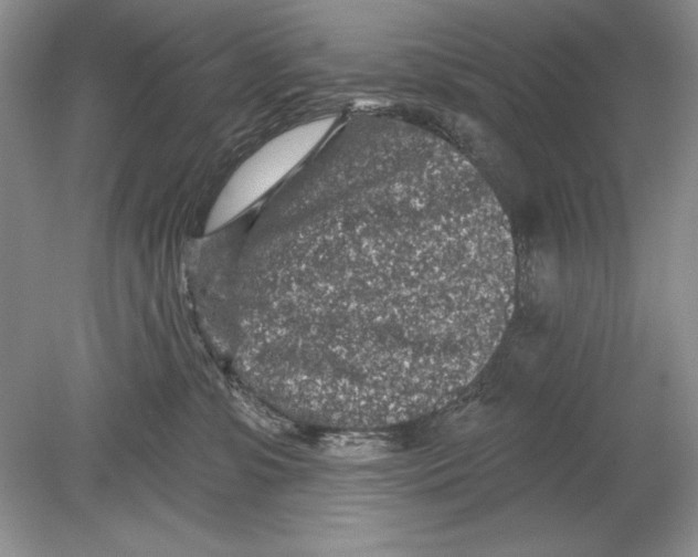 X0000078890331200612111812