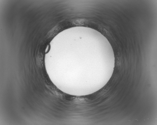 X0000078890332200612111812