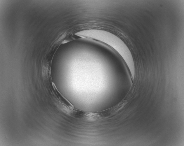 X0000078890333200612111812