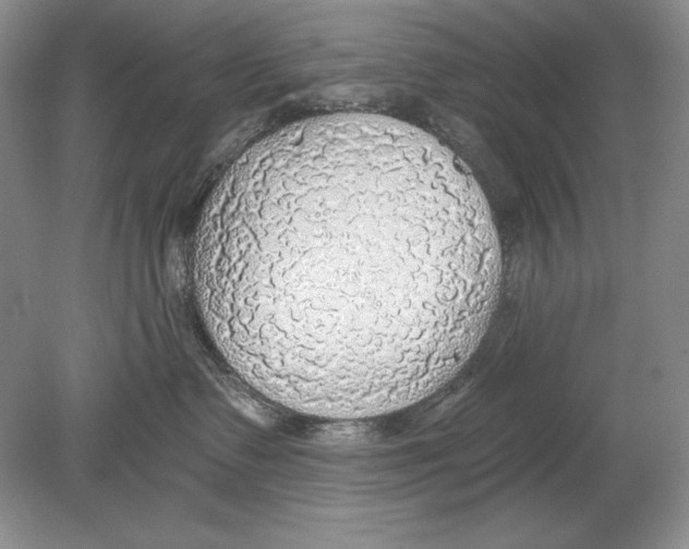 X0000078890335200612111812