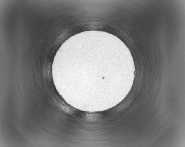 X0000078890336200612111812