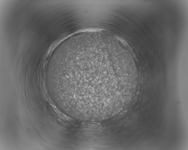 X0000078890337200612111811