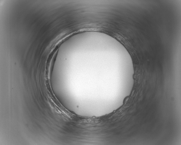 X0000078890338200612111811