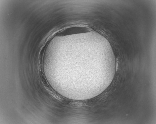 X0000078890339200612111811