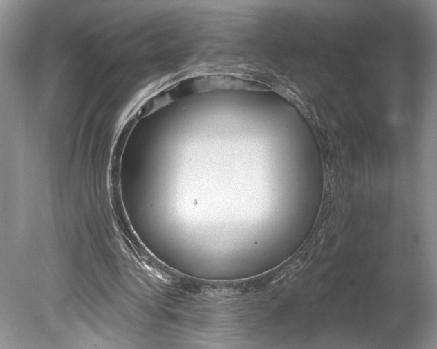 X0000078890340200612111811