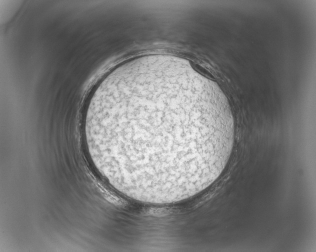 X0000078890341200612111811