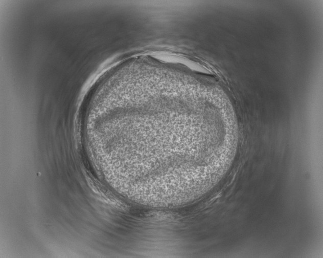 X0000078890343200612111811