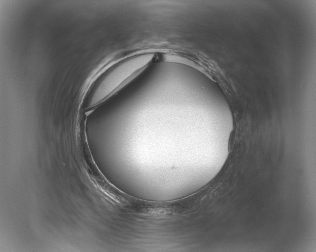 X0000078890344200612111811