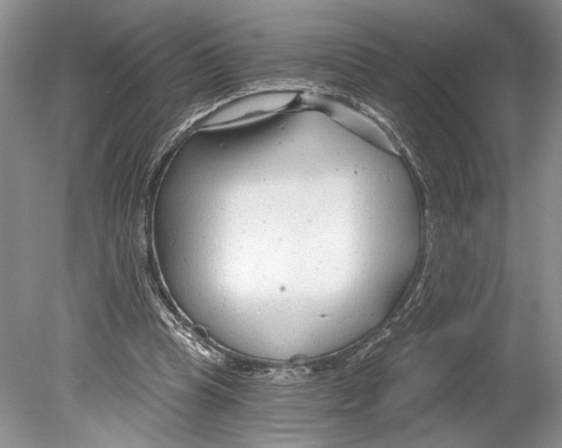 X0000078890345200612111811