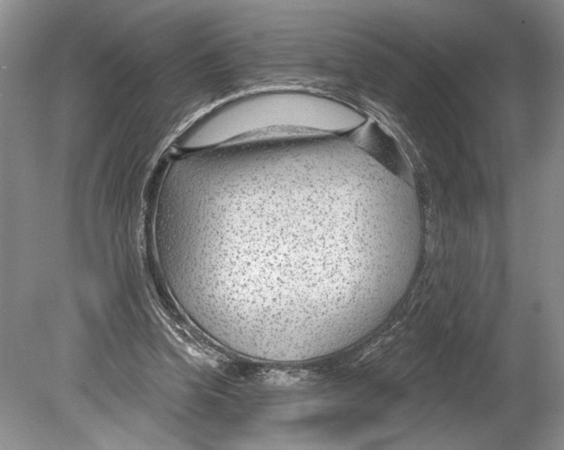 X0000078890346200612111811