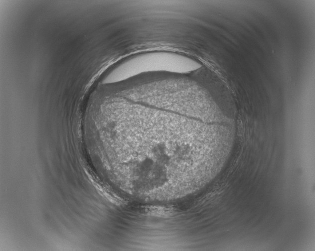 X0000078890347200612111811