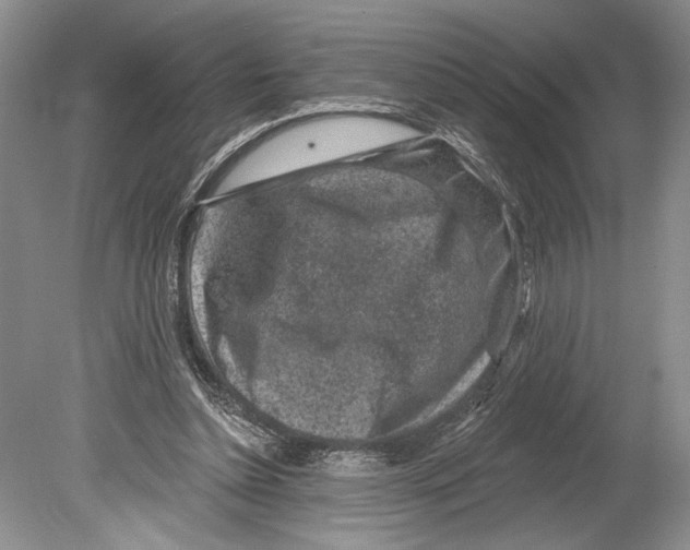 X0000078890348200612111811