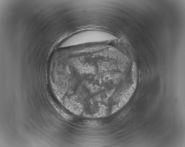 X0000078890349200612111811