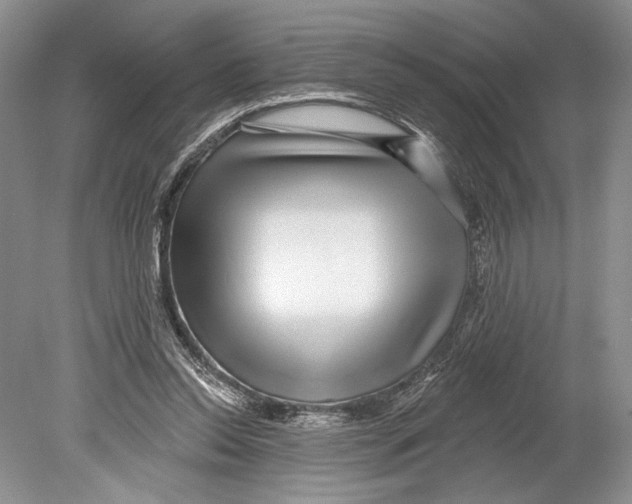 X0000078890350200612111811