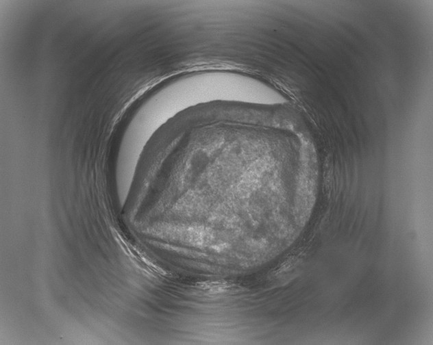 X0000078890351200612111811