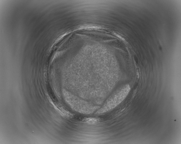 X0000078890352200612111811