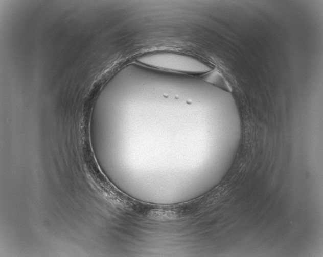 X0000078890354200612111811