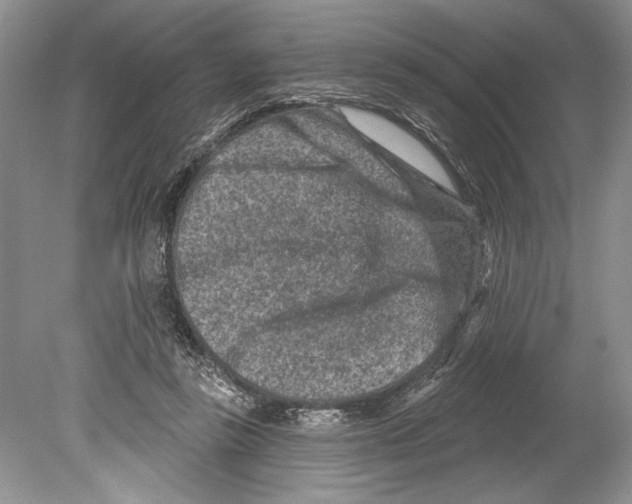 X0000078890355200612111811