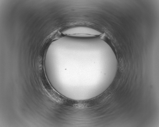 X0000078890356200612111811