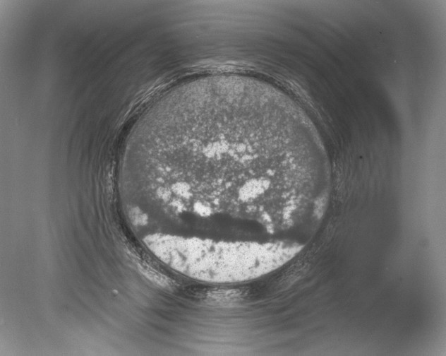 X0000078890357200612111811