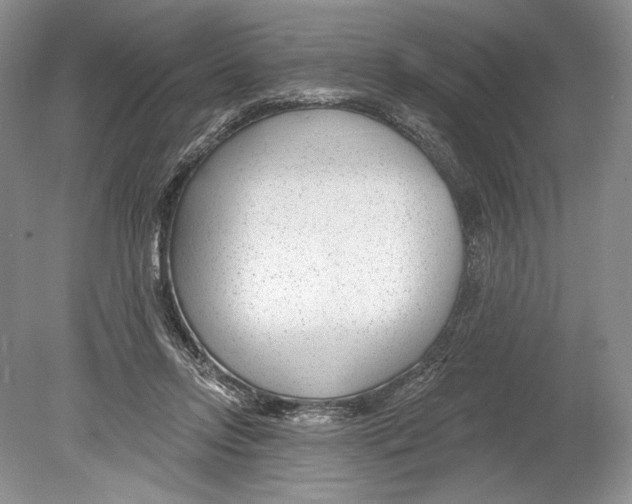 X0000078890358200612111811