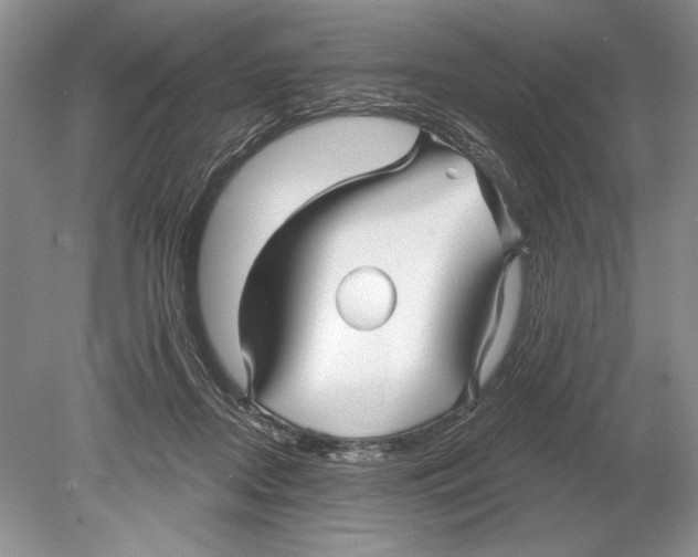 X0000078890362200612111811