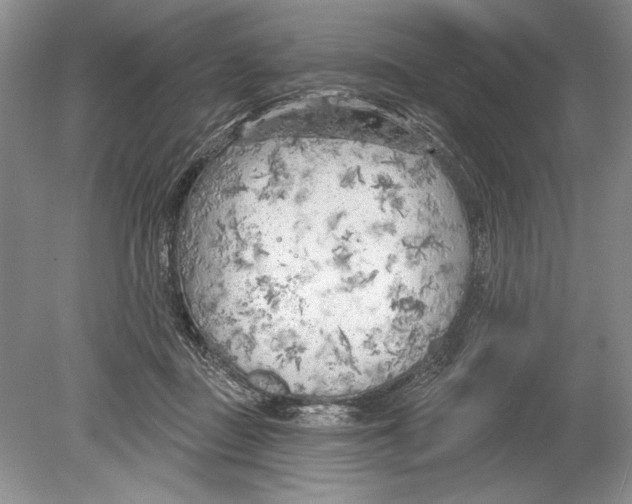 X0000078890363200612111811