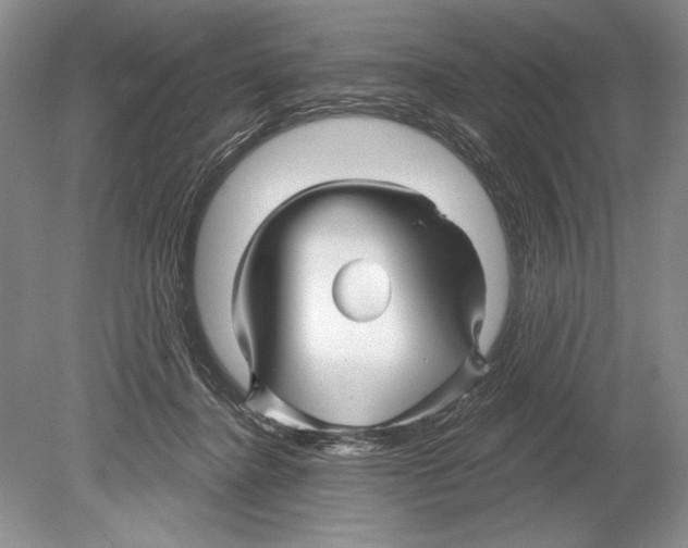 X0000078890364200612111811