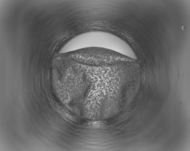 X0000078890365200612111811