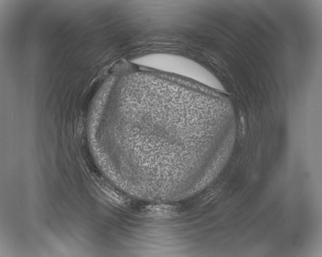 X0000078890367200612111811