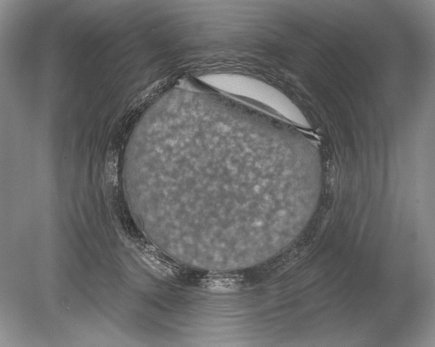 X0000078890368200612111811