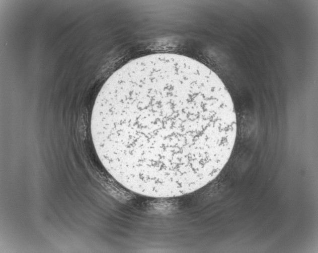 X0000078890370200612111811