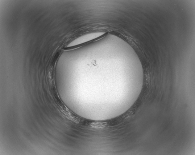 X0000078890373200612111811