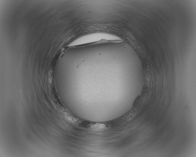 X0000078890374200612111811