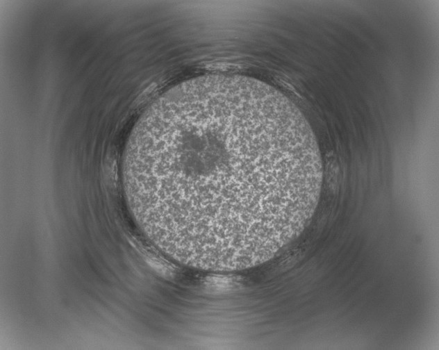 X0000078890375200612111811