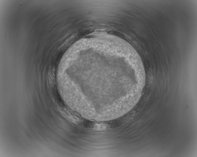 X0000078890376200612111811