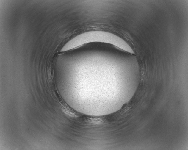 X0000078890377200612111811