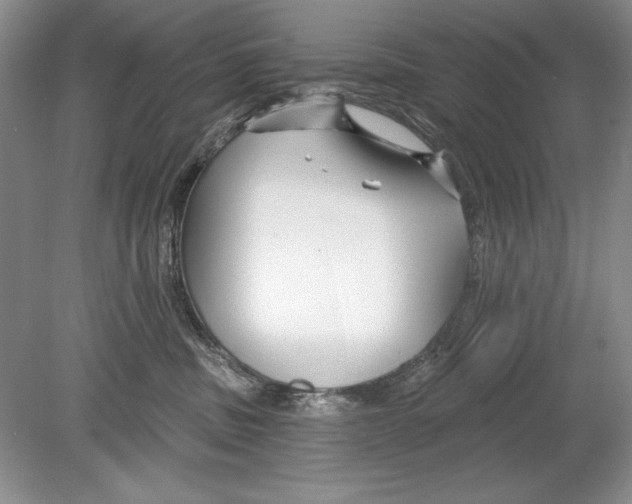 X0000078890379200612111811