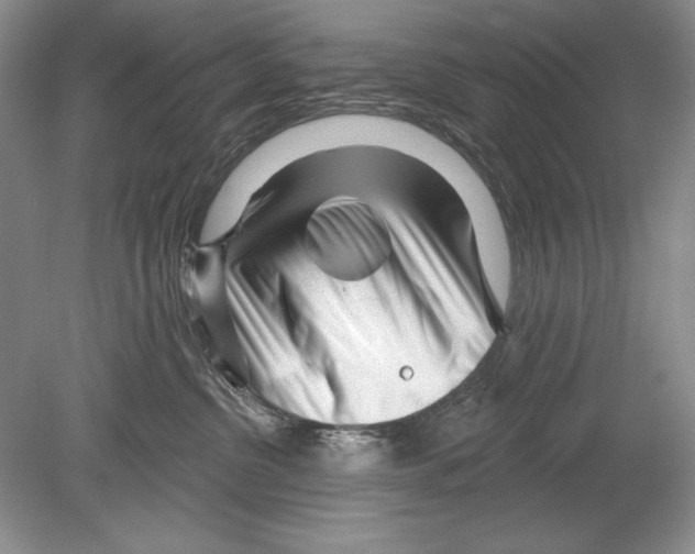 X0000078890380200612111811