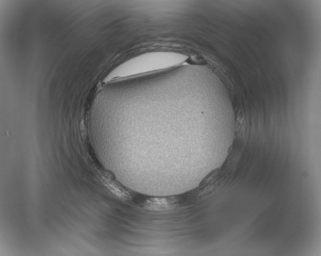 X0000078890381200612111811